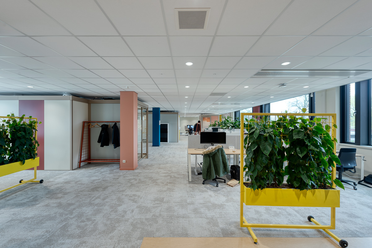 Systeemplafonds in verschillende maten