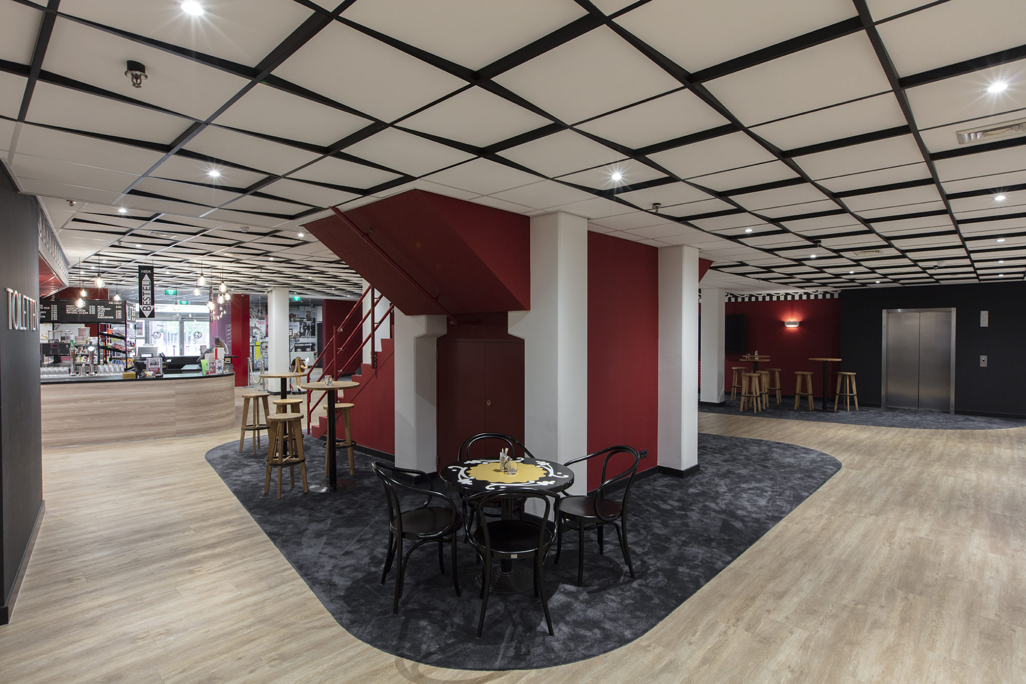 Professioneel systeemplafond